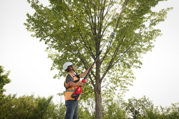 Teleskopske škarje za veje Milwaukee M18 BLTS 3 m - slika 2