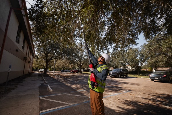 Teleskopske škarje za veje Milwaukee M18 BLTS 3 m - slika 6