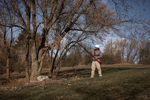 Teleskopske škarje za veje Milwaukee M18 BLTS 3 m - slika 8